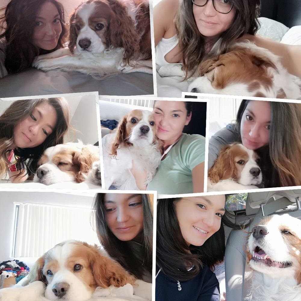 Meet your Posher, Emma